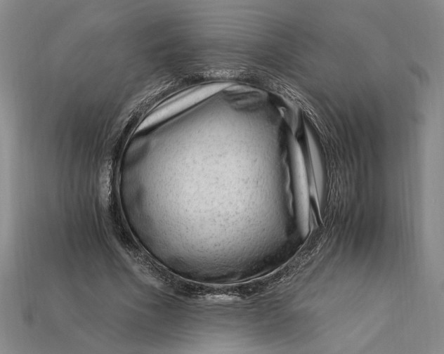 X0000112900586200909111526