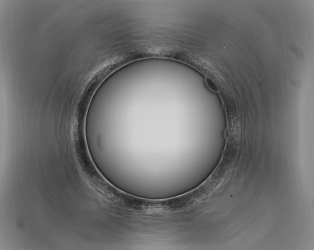 X0000112900587200909111526