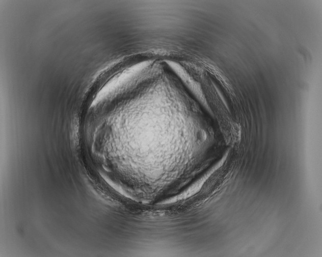 X0000112900588200909111526