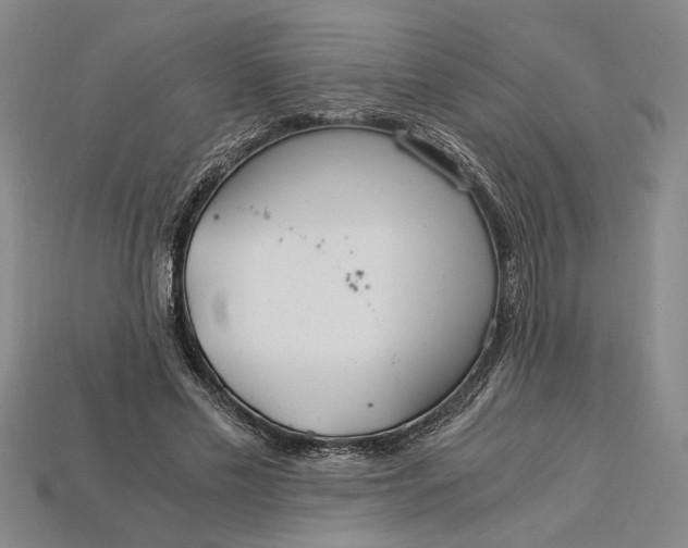 X0000112900589200909111526