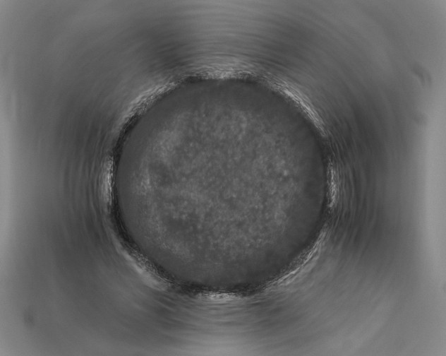 X0000112900590200909111526