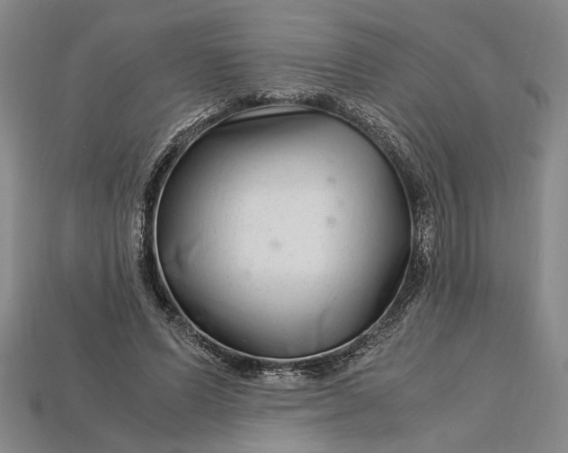 X0000112900591200909111526