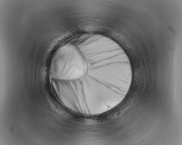 X0000112900592200909111526