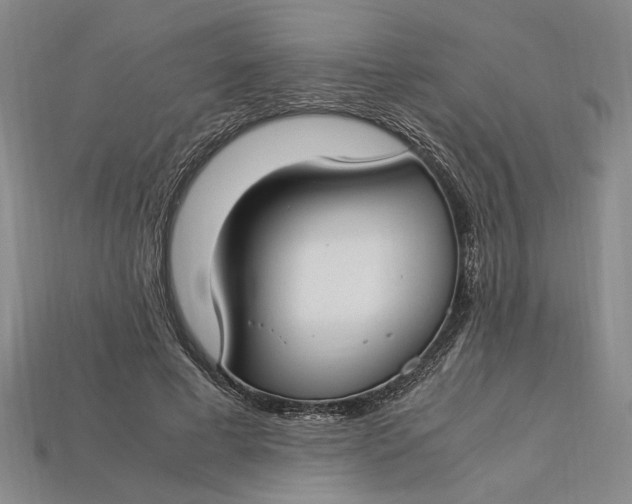 X0000112900593200909111526
