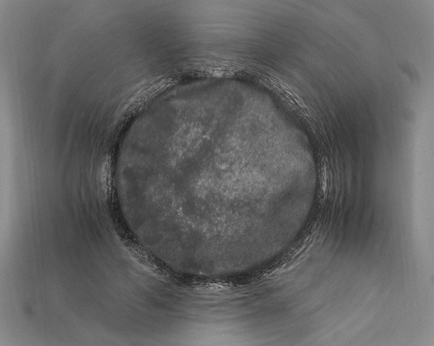 X0000112900594200909111526