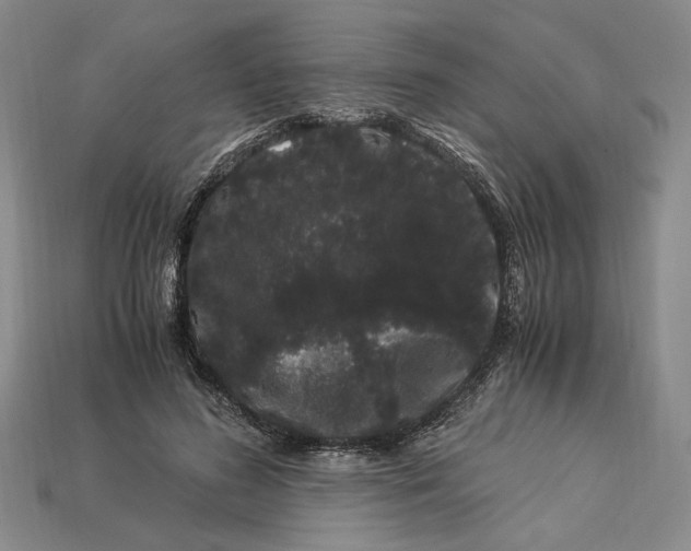X0000112900596200909111526