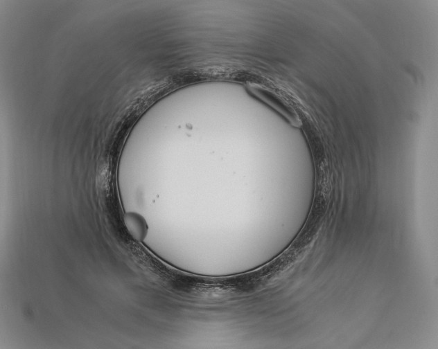 X0000112900597200909111526