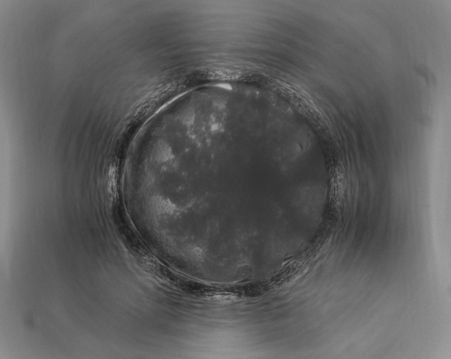 X0000112900598200909111526