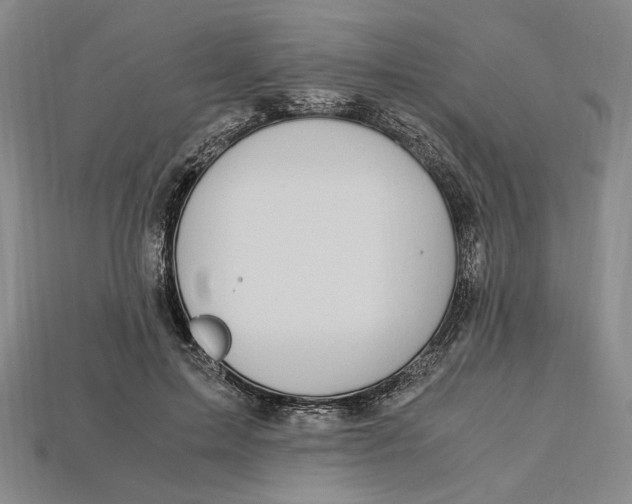 X0000112900599200909111526