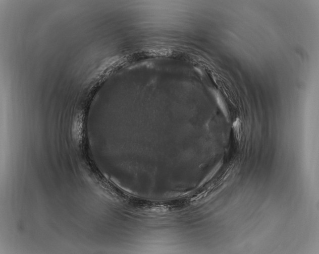 X0000112900600200909111526