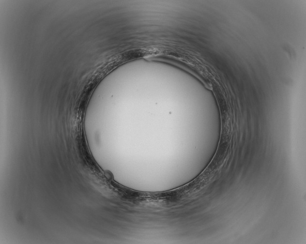 X0000112900601200909111526
