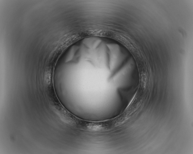 X0000112900602200909111526