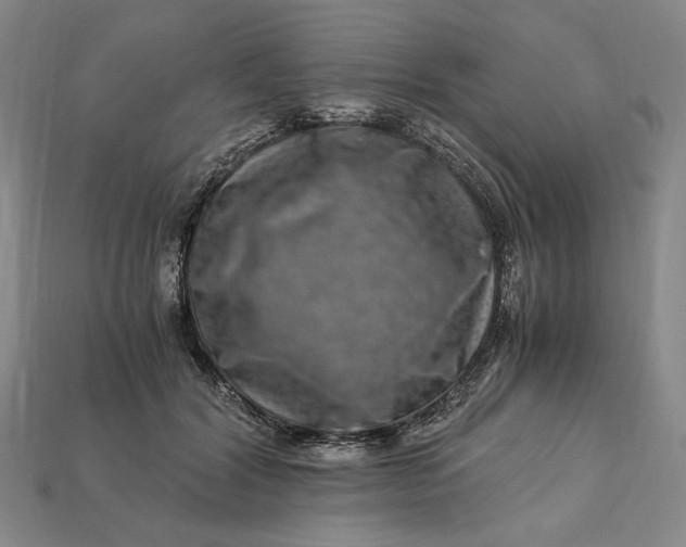X0000112900604200909111526