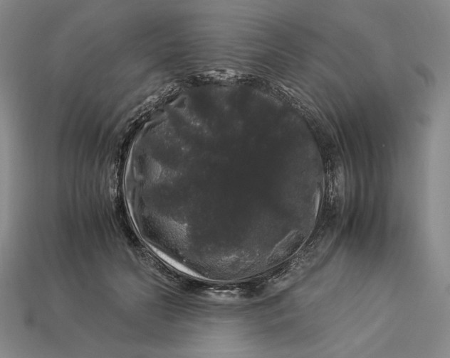 X0000112900606200909111526