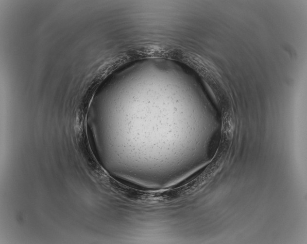 X0000112900607200909111526