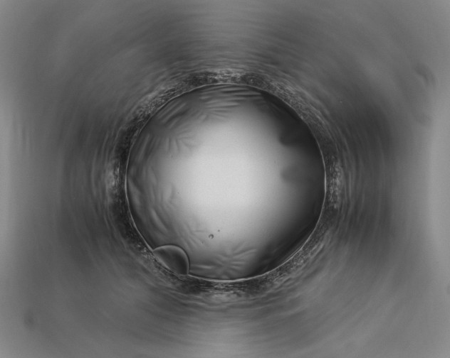X0000112900608200909111526