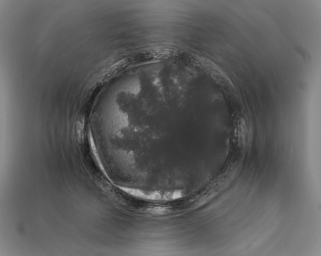 X0000112900610200909111526