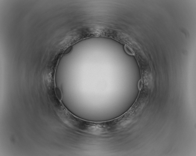 X0000112900611200909111526