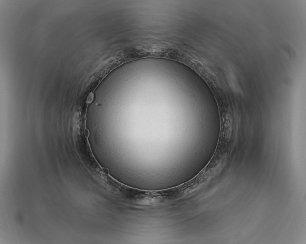 X0000112900612200909111526