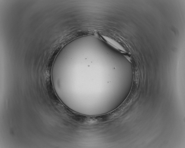 X0000112900613200909111526