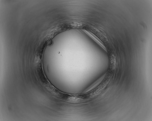 X0000112900614200909111526