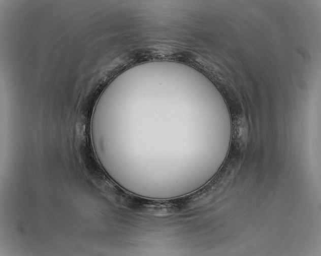 X0000112900615200909111526