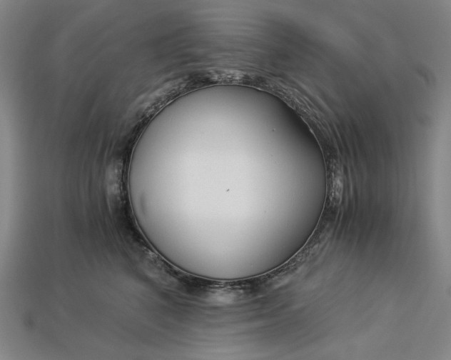 X0000112900616200909111526