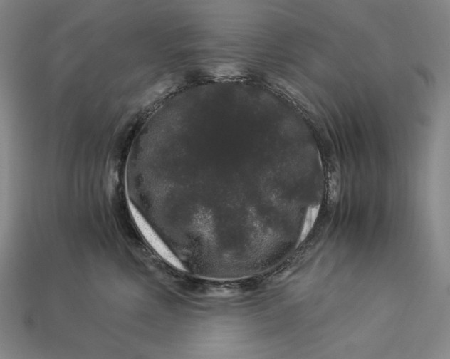 X0000112900618200909111526