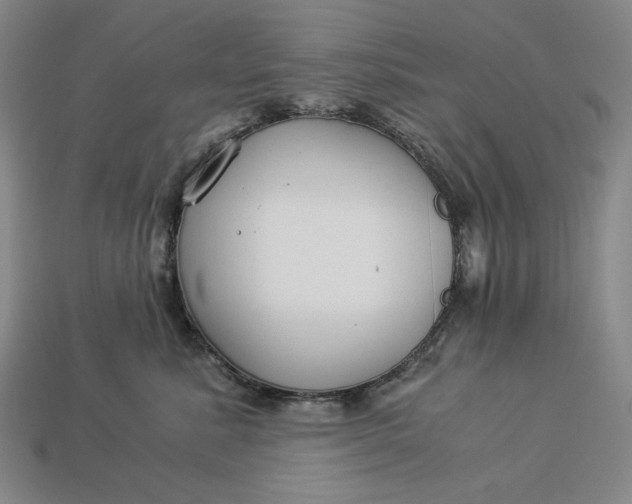 X0000112900619200909111526