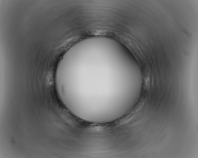 X0000112900620200909111526