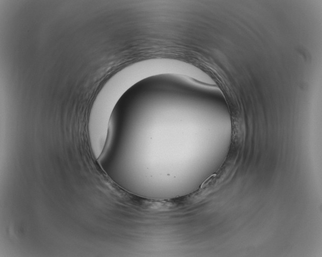 X0000112900621200909111526