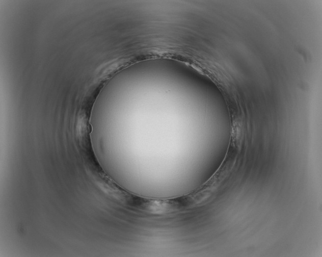 X0000112900623200909111526