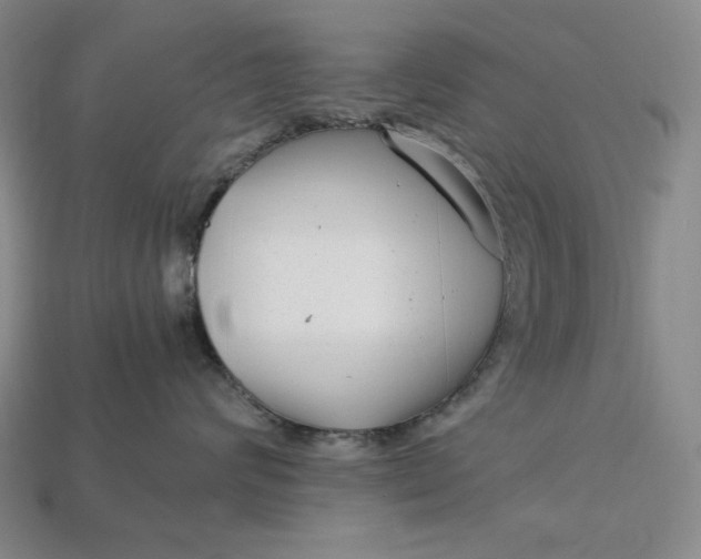 X0000112900624200909111526