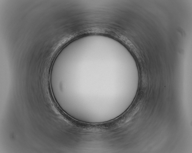 X0000112900625200909111525