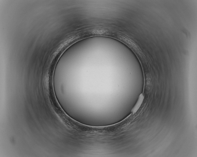 X0000112900626200909111525