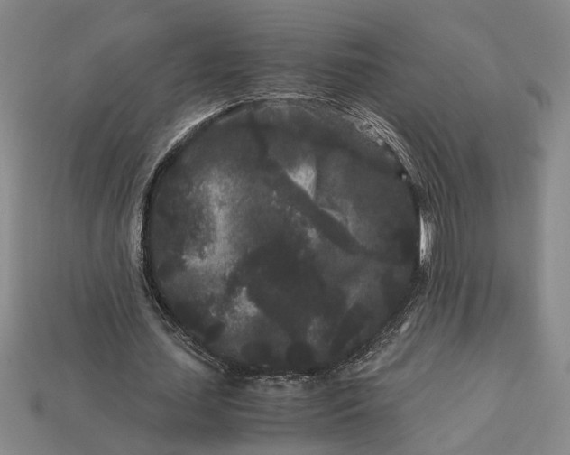 X0000112900627200909111525