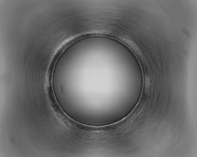 X0000112900628200909111525