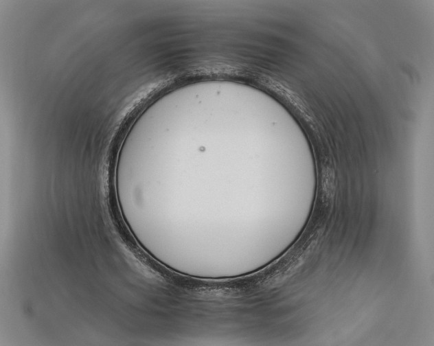 X0000112900629200909111525
