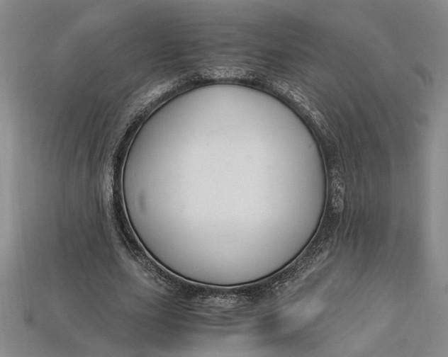 X0000112900631200909111525