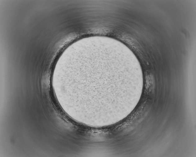 X0000112900632200909111525