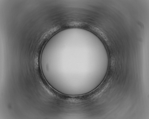 X0000112900633200909111525