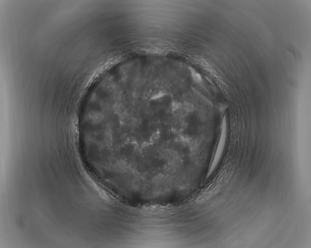X0000112900634200909111525