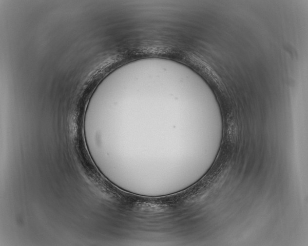 X0000112900635200909111525