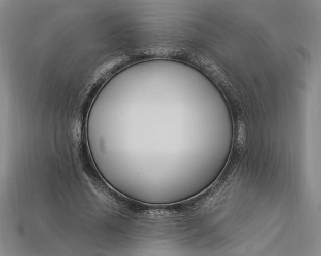 X0000112900636200909111525