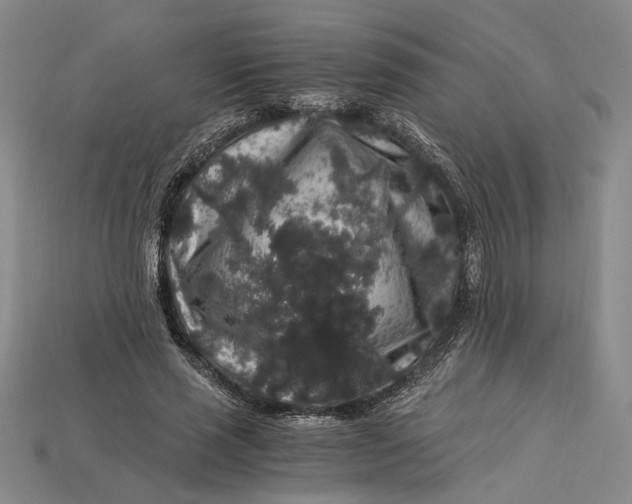 X0000112900637200909111525