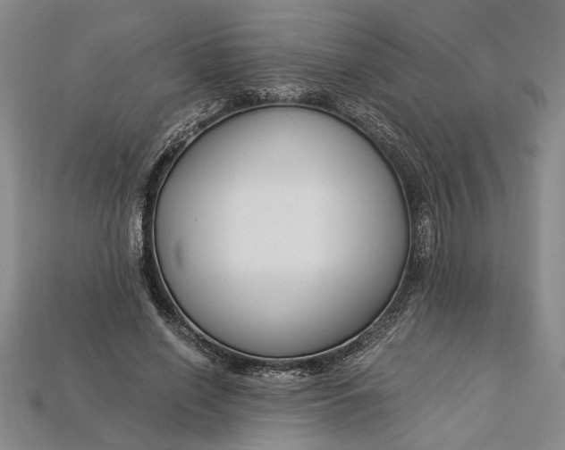 X0000112900638200909111525
