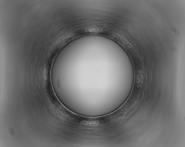 X0000112900639200909111525