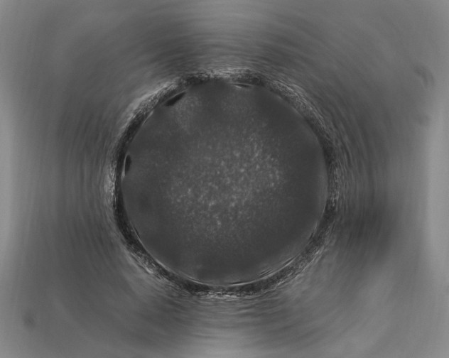 X0000112900640200909111525