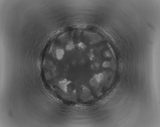 X0000112900641200909111525