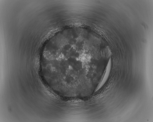 X0000112900642200909111525